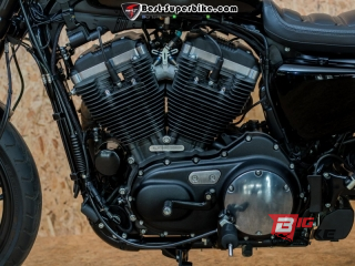  Harley Davidson Roadster 1200