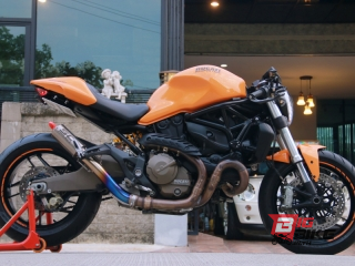  Ducati  Monster 821 Stripe