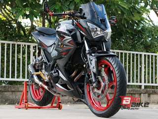  Kawasaki Z300