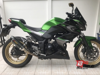  Kawasaki Z300