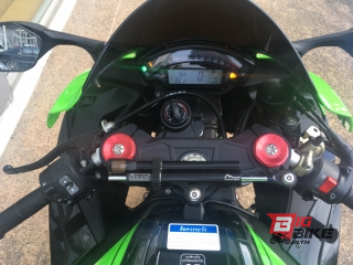  Kawasaki Ninja ZX-10R