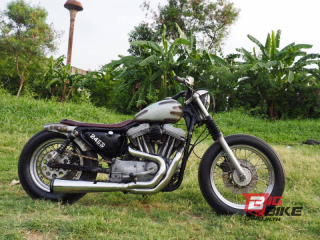  Harley Davidson Iron 883