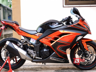  Kawasaki Ninja 300