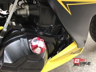  Kawasaki Z300