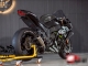  Kawasaki Ninja ZX-10R