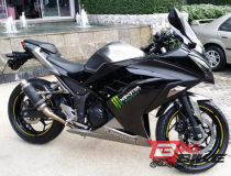 Kawasaki Ninja 300