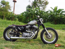 Harley Davidson Iron 883