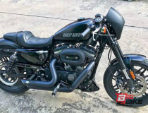 Harley Davidson  Sportster 1200 Roadster