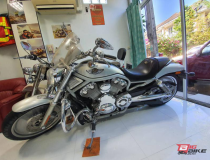 Harley Davidson  V-Vod Muscle